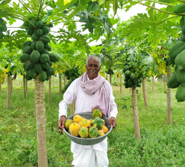 Reliance Industries Ltd.